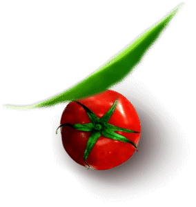 Tomato
