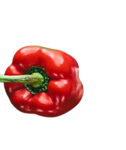 Pepper